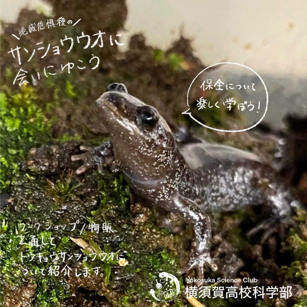 横須賀高校科学部