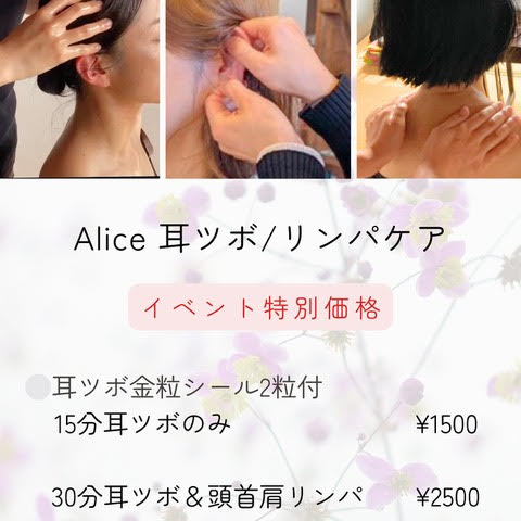 耳ツボAlice