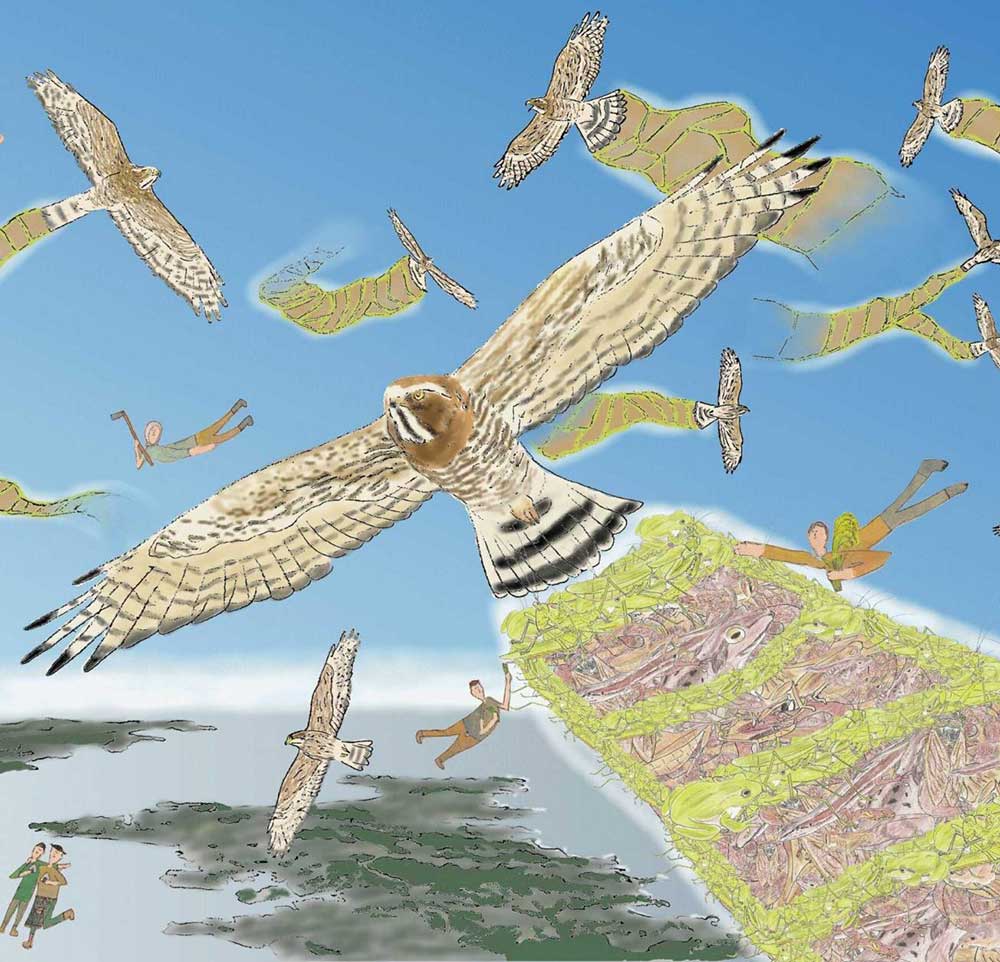 NPO法人 三浦半島生物多様性保全